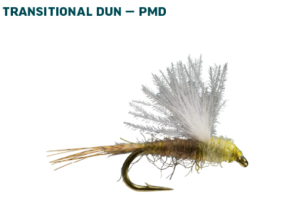 RIO Dry Fly Assortment PMD RIO Dry Fly Assortment PMD